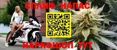 СК Балаково